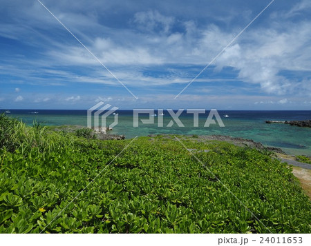 白鳥崎 伊良部島 白鳥崎 伊良部島 24011653