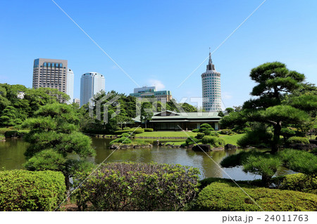 夏の見浜園、幕張海浜公園（8月）千葉県千葉市美浜区 24011763