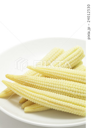 ヤングコーン 24012530