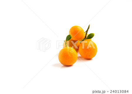 Orange Kumquat placed on white background 24013084