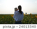 母と子が向日葵畑を見る 24013340