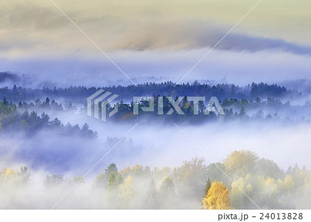 Foggy morning in the landscape Foggy morning in the landscape 24013828