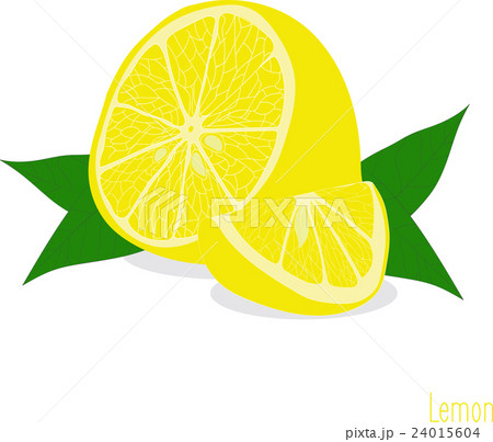 Lemon, slices, set of lemons 24015604
