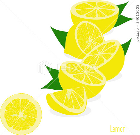 Lemon, slices, set of lemons 24015605