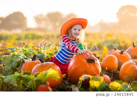 Child playing on pumpkin patch 24015845