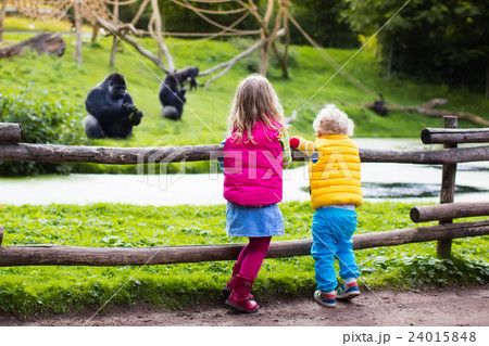 Kids watching animals at the zoo 24015848