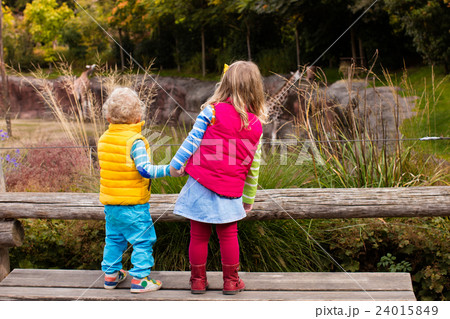 Kids watching animals in the zoo 24015849