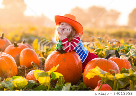 Child playing on pumpkin patch 24015958