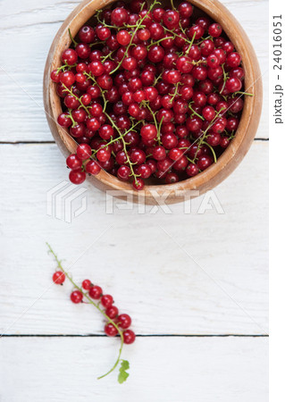 Fresh red currants 24016051