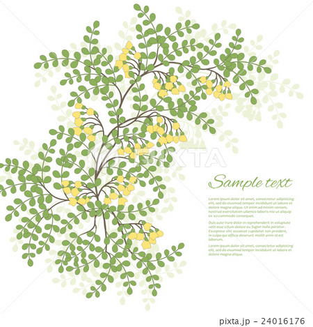 Spring card with leaves and flowers Spring card with leaves and flowers 24016176