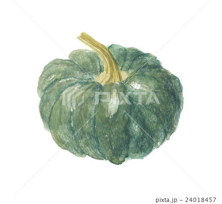 黒皮かぼちゃ 24018457