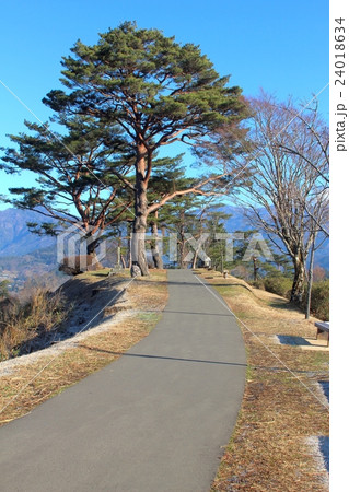 国見ヶ丘の風景 国見ヶ丘の風景 24018634