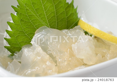 クラゲの刺身 24018763