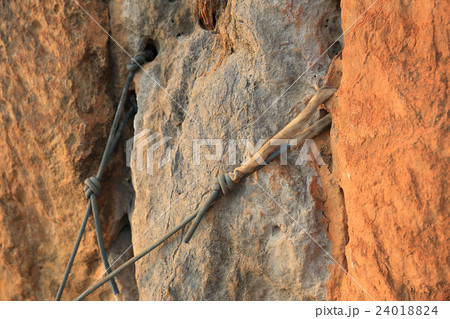 closeup of rock climbing ropes on mountain cliff 24018824