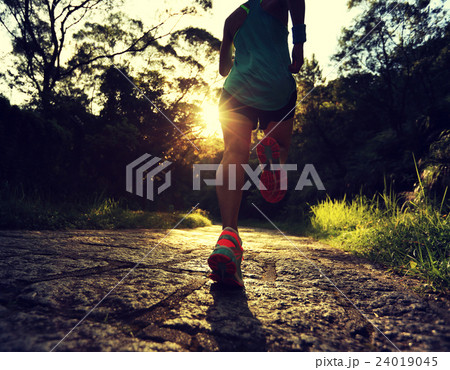 woman runner athlete running on forest trail woman runner athlete running on forest trail 24019045