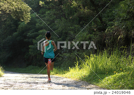 fitness woman runner running on forest trail fitness woman runner running on forest trail 24019046