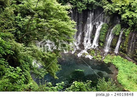 展望台からみる白糸の滝 展望台からみる白糸の滝 24019848