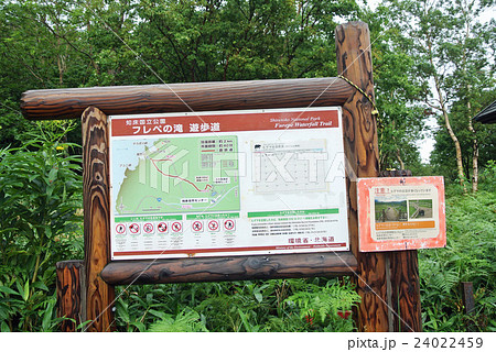 知床　プレペの滝 24022459