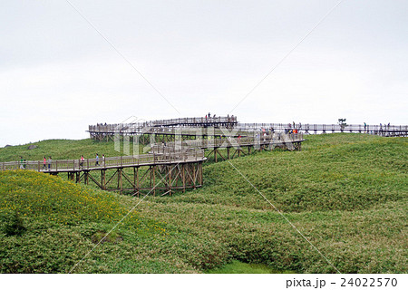 知床五湖 24022570