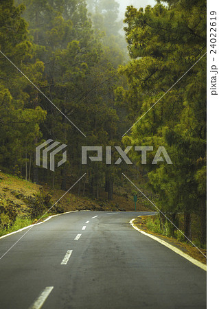 road in the clouds in the mountains 24022619