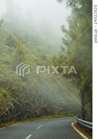 road in the clouds in the mountains 24022620