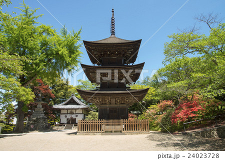 前山寺の三重塔 24023728