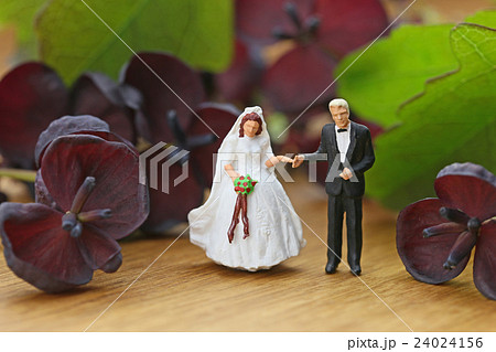 ウェディングカップルとアケビの花 ウェディングカップルとアケビの花 24024156