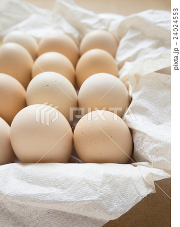 Eggs Eggs 24024553