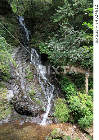 白岩滝(東京都日の出町) 白岩滝(東京都日の出町) 24024612