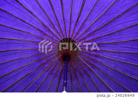 和傘 24026949