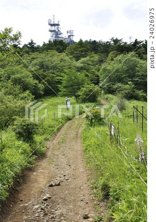 三ツ峠山の草原と開運山 三ツ峠山の草原と開運山 24026975