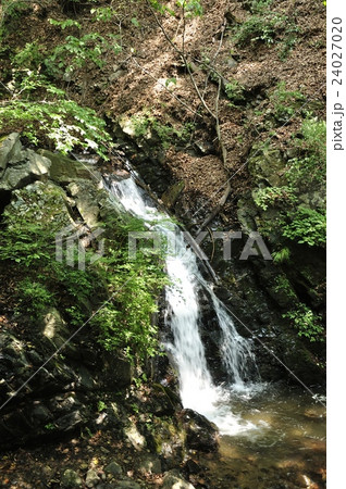 滝子山 三丈の滝 24027020