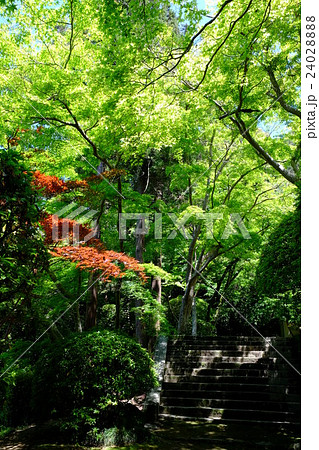 長岳寺 24028888