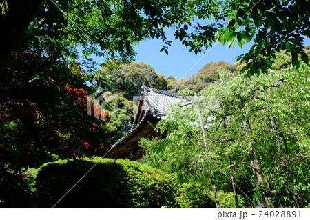 長岳寺 24028891