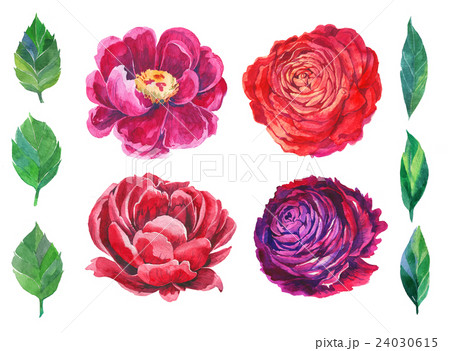 Watercolor Floral SET 24030615