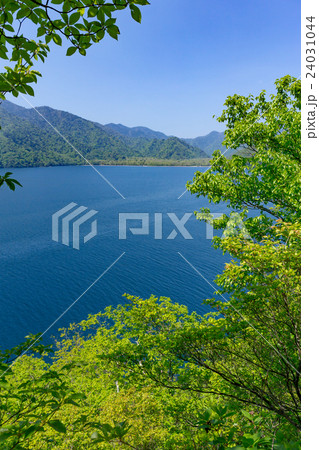 栃木県日光市　新緑の中禅寺湖（5月） 24031044