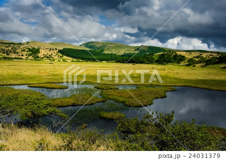 八島ヶ原湿原 (153) 24031379