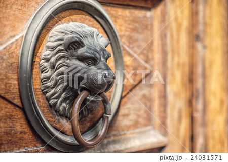 the lion's head door knocker on the wooden door 24031571