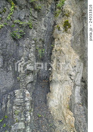 信州 伊那長谷地区 溝口露頭 拡大 中央構造線の露頭 大断層帯が見れる南アルプスジオパーク 信州 伊那長谷地区 溝口露頭 拡大 中央構造線の露頭 大断層帯が見れる南アルプスジオパーク 24033816