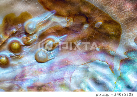 mother-of-pearl, luxury background mother-of-pearl, luxury background 24035208