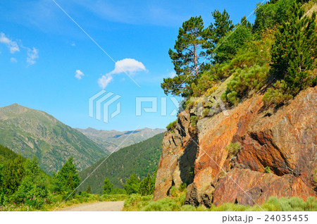 Scenic mountain landscape with cliff and pines 24035455