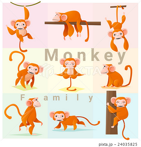 Set of Monkey family 24035825
