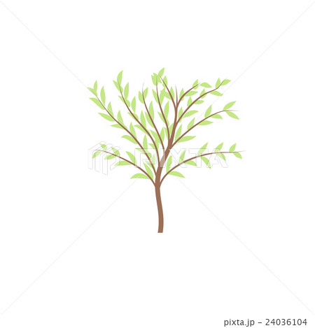 The thin trunk of the tree with leaves vector logo The thin trunk of the tree with leaves vector logo 24036104