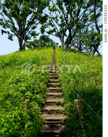 夏の玉川野毛町公園、 野毛大塚古墳（8月）東京都世田谷区 24036333
