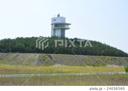 酒田北港緑地展望台 24036560
