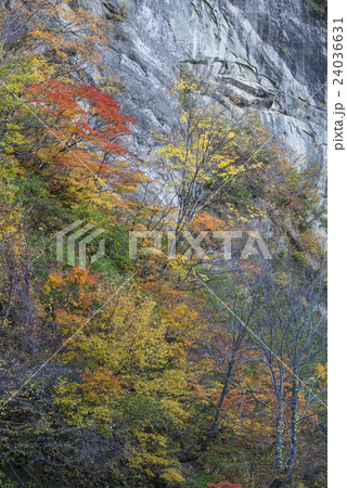秋色の奥裾花渓谷と露頭 秋色の奥裾花渓谷と露頭 24036631