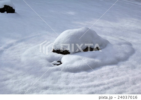 雪の枯山水 雪の枯山水 24037016