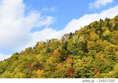 紅葉した山と青空 24037205