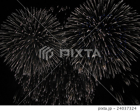 PL花火芸術名花 24037324