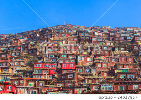 Red monastery at Larung gar (Buddhist Academy) 24037857